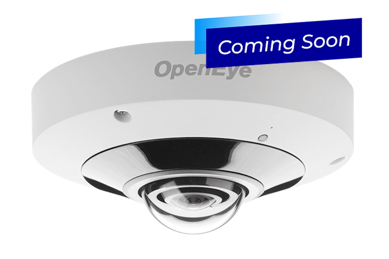 12MP IP Fisheye Camera