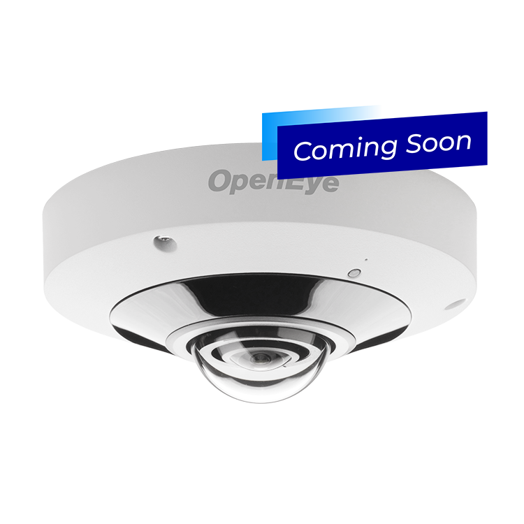 12MP IP Fisheye Camera