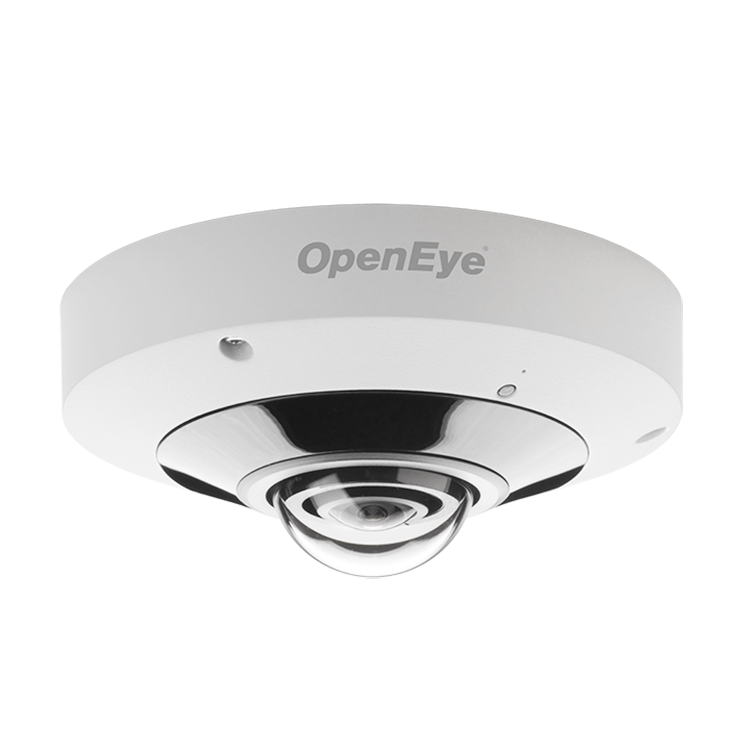 12MP IP Fisheye Camera